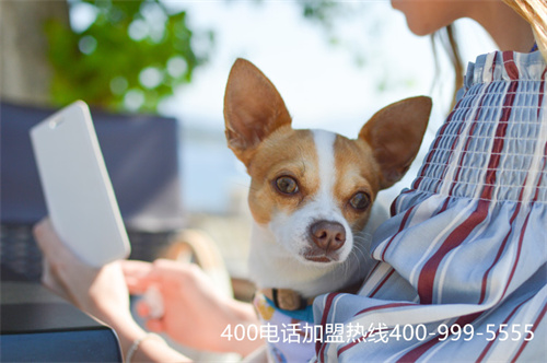 (申請400電話需要什么)(400電話辦理后，通話是怎么收費的)