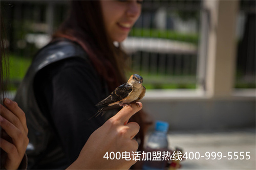 (公司辦理400電話需要注意什么)(400電話申請怎樣更有優(yōu)勢？)